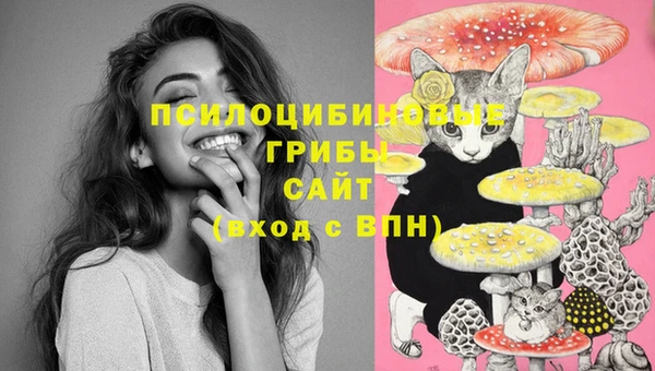 индика Алексеевка