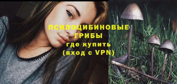индика Алексеевка