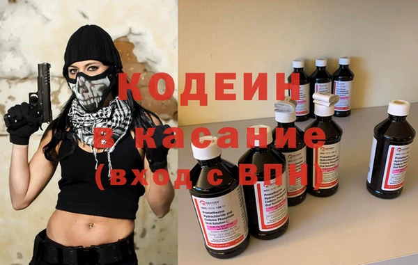 индика Алексеевка