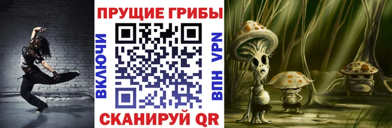 omg ТОР Кропоткин Галлюциногенные грибы MAGIC MUSHROOMS